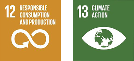 sdg 12 & 13